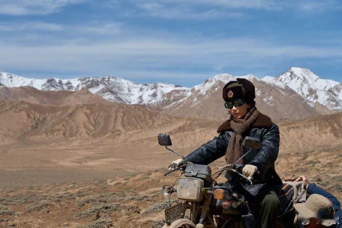 杨紫生命树开播文 杨紫心中的白菊 白菊在我心里 确实是荒原上初生的藏羚羊 充满灵