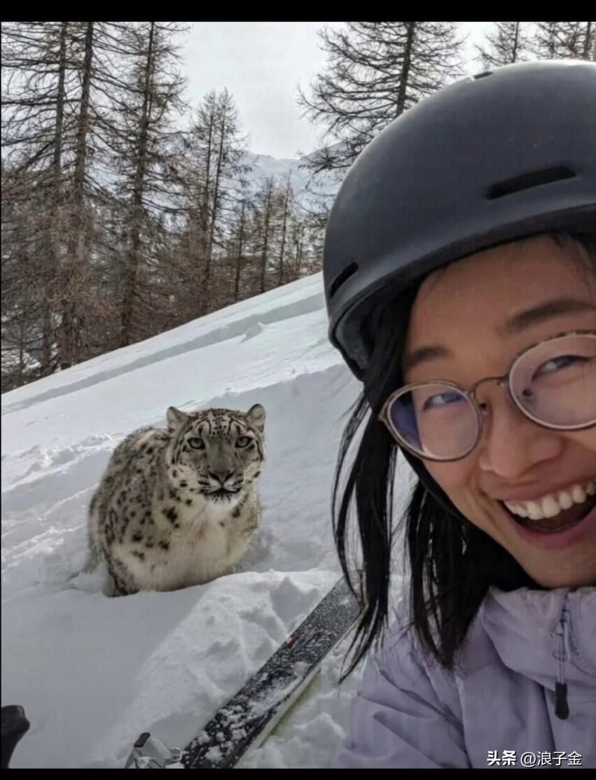 错把雪豹当小猫，一番逗弄被毁容！
女孩：喵喵喵，一只好可爱的小猫咪！
其他队友：