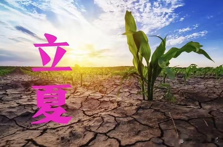 5号就要立夏了，今年这节气可太特殊了！不少人说这是60年一遇的“反常立夏”，老祖