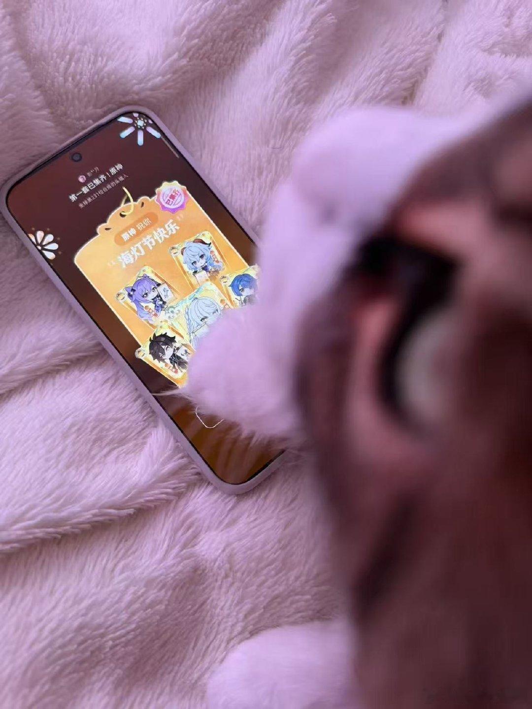 游戏圈大神的头福也是凭手速抢到的 多亏了月月妈的集福攻略，现在面对这个新玩法我已