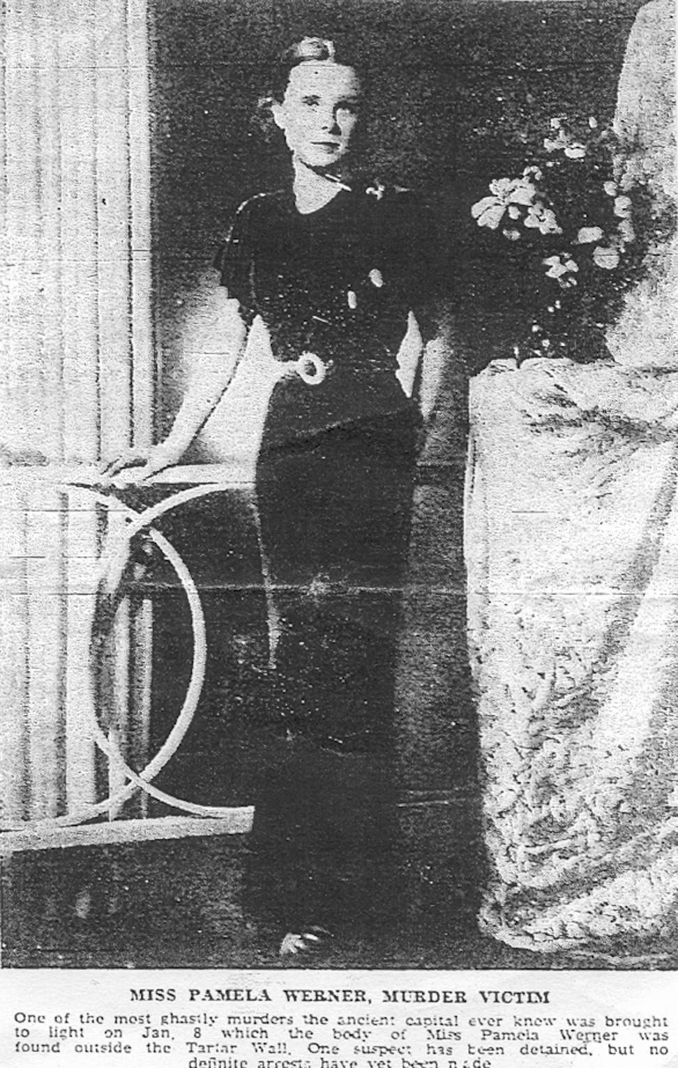 1937年1月，北平还是一座即将被战争吞没的城市。19岁的帕梅拉·倭讷在一个冬夜