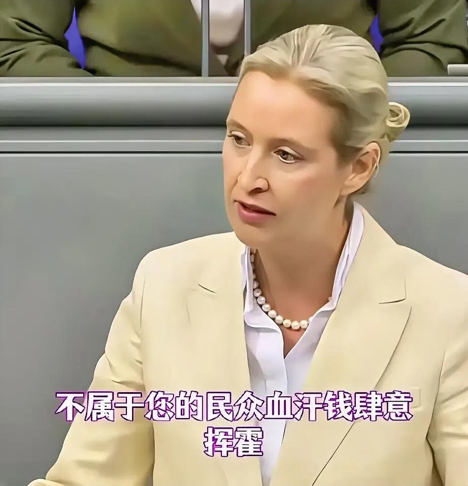魏德尔终于揪住了墨茨错处，墨茨恐遭德民抗议，清算才刚刚开始！一味损害国民利益后，