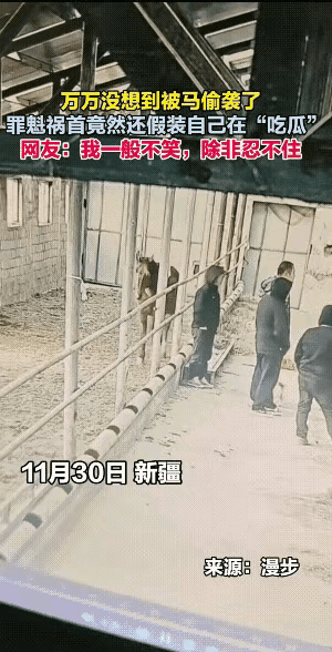 马这种动物看起来比较温顺，但是有时候它也会偷着袭击人的，画面中的这匹马，袭击人的