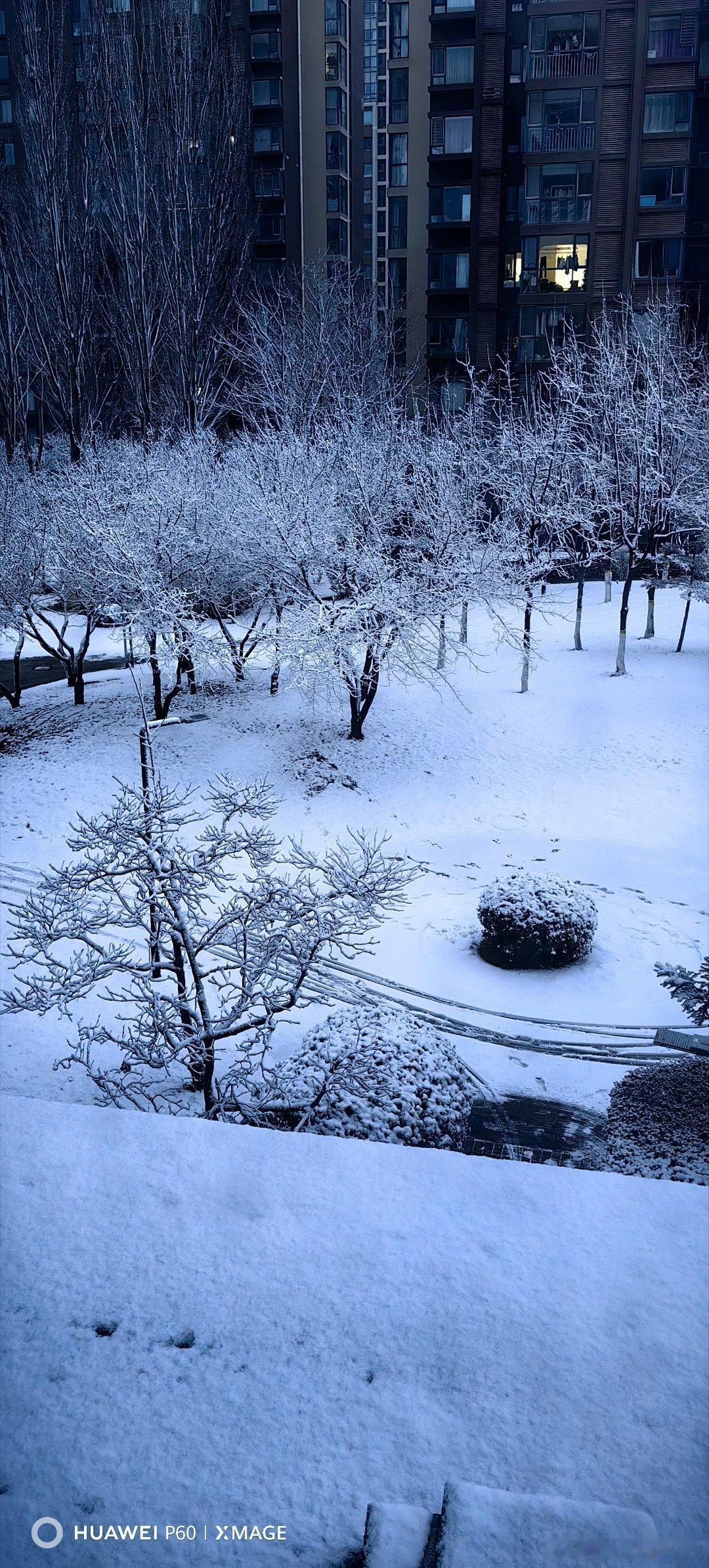 2026年2月26日晚，一场春雪不期而至。北京下雪啦下雪啦下雪了随手拍天气雪景