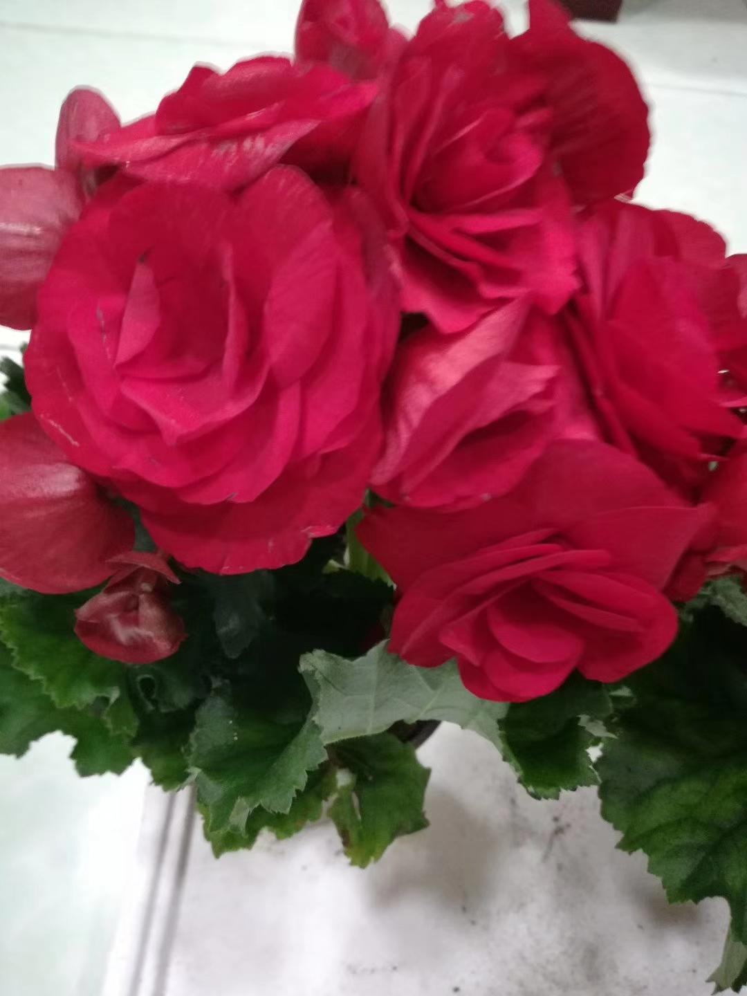 手机随手拍原创图片