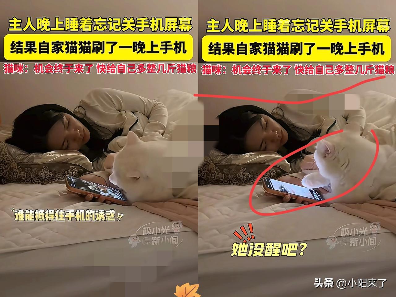 “这下真的解释不清了！”广东一女子玩手机睡着了，醒来后发现手机没电了，她调监控一