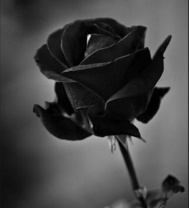 点赞湖北省文旅厅，又一个劣迹艺人演出被紧急叫停。
终于有人出手了，必须为湖北省文