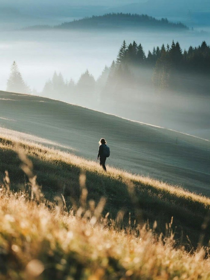 痛苦的时候要往前走，前面不一定是幸福，但不管怎么样，都比困在原地要强。 
