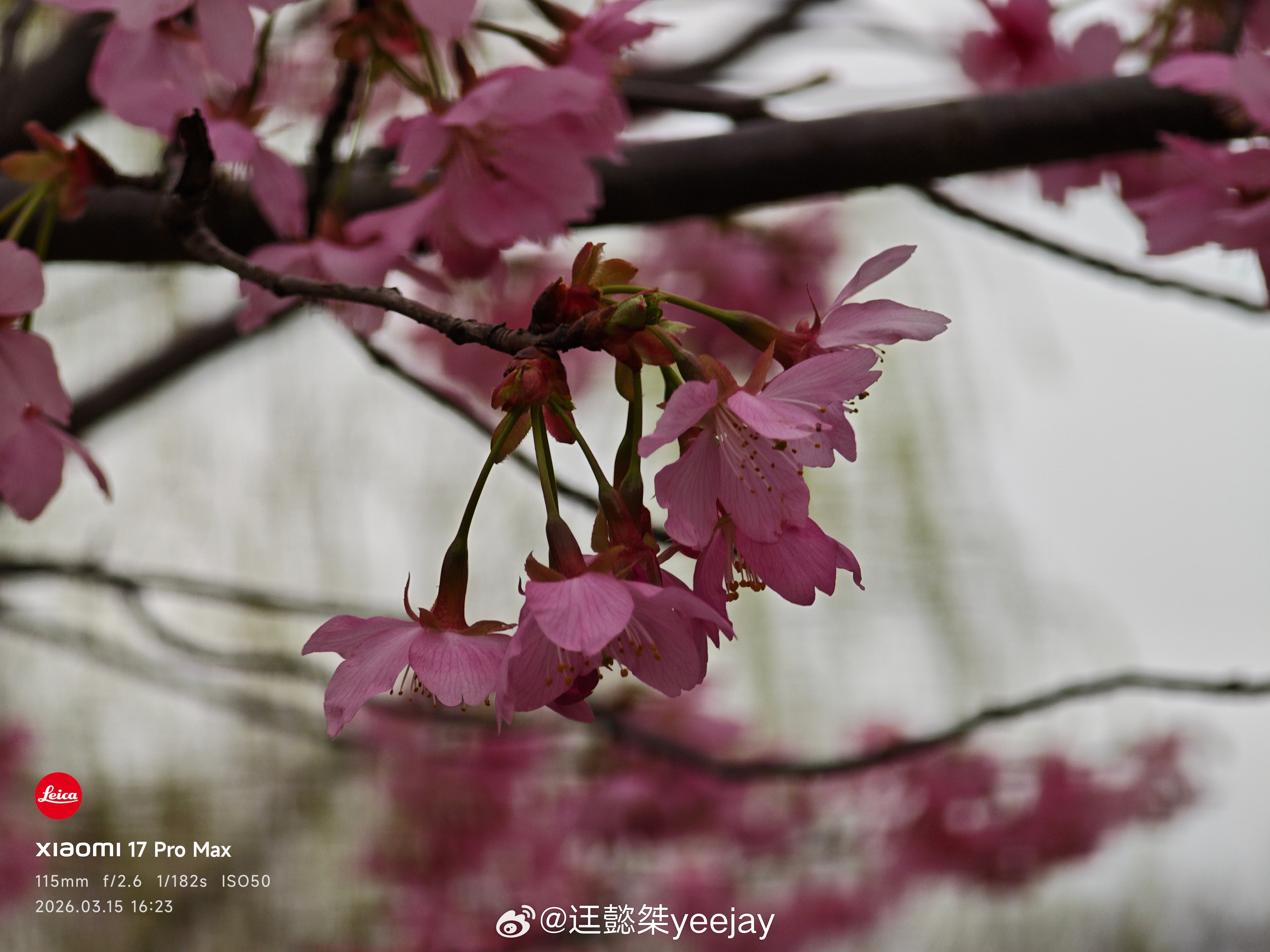 这个弹出个“景深扩展”的效果好像不错就是这两天感觉运存很卡，有时候就3.0+到4