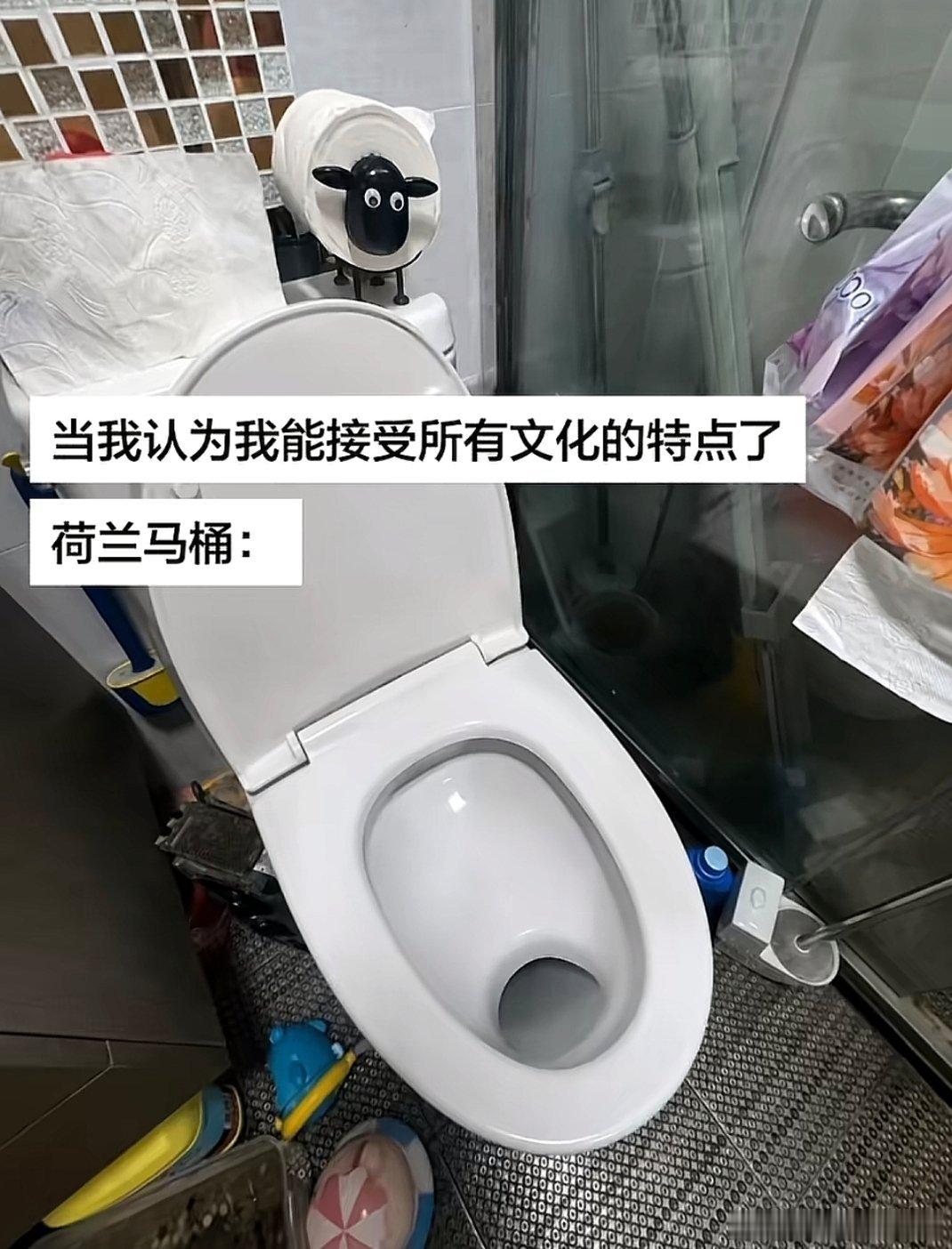 荷兰的马桶洞洞在前面，这样是不是每次都得刷马桶啊 