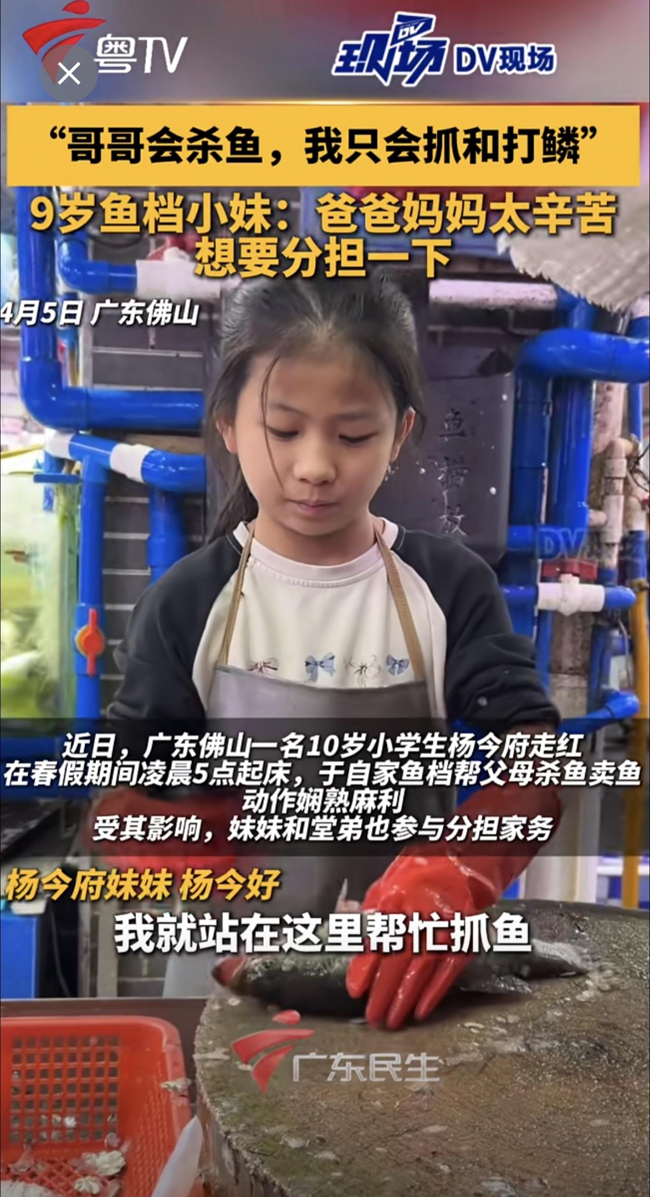 “哥哥会杀鱼，我只会抓和打鳞”，9岁鱼档小妹：爸爸妈妈太辛苦，想要分担一下