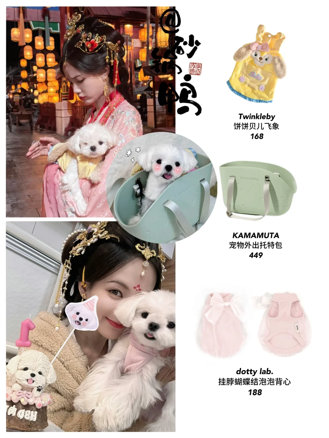 李一桐和她的可爱修狗🐶日常，好有爱啊！