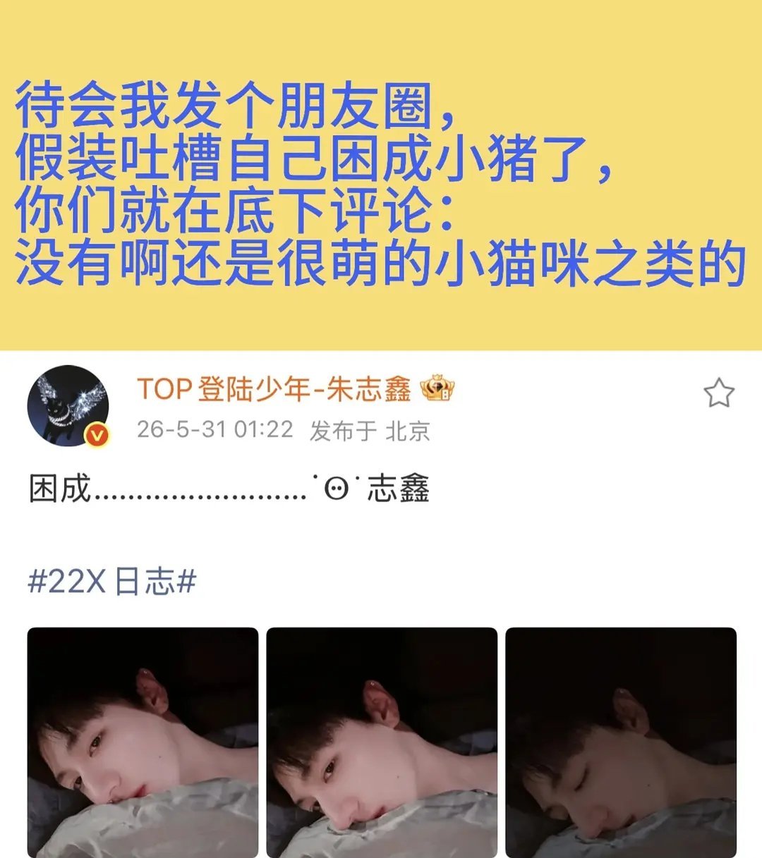 哎呀哎呀好萌吧🥺宝宝你是最萌的小猫咪网页链接