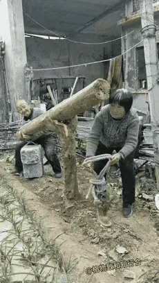 不得不说，
这两个人的身体情况还算可以。
子女可以放心了。