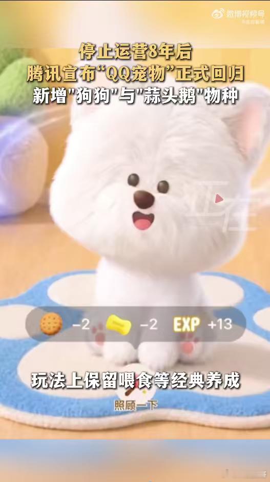 腾讯全新QQ宠物上线小时候放学回家第一件事就是喂企鹅，新版上线3D形象，新增狗狗