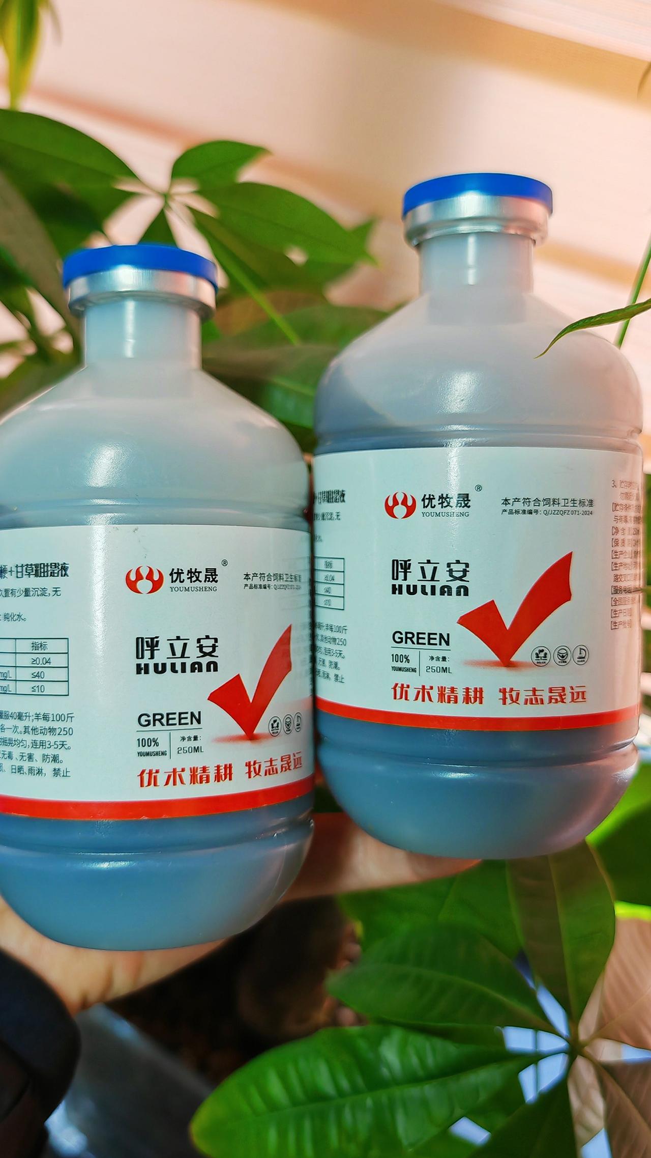 养羊人 农村养羊