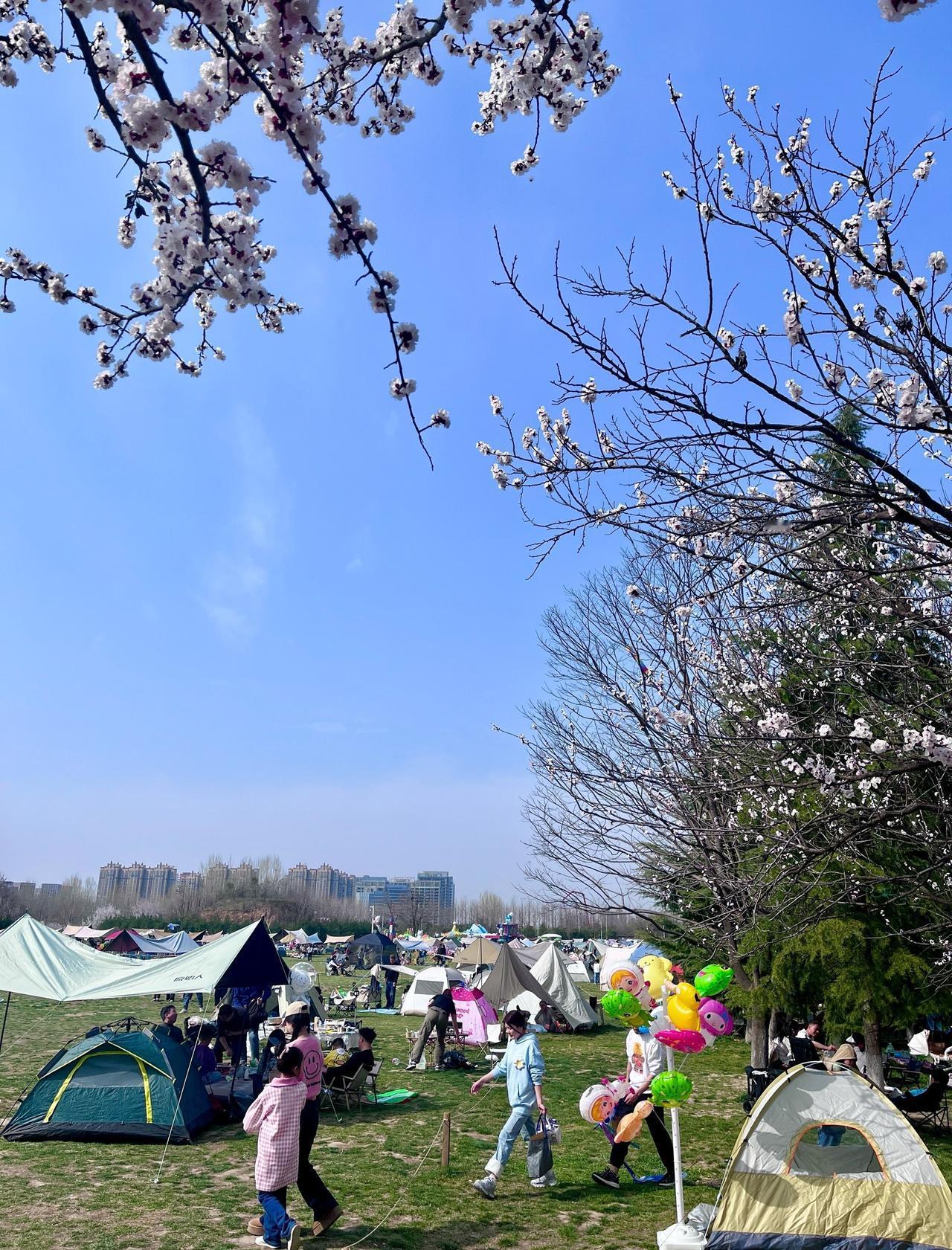 🍃西安春天的周末格外珍贵，说没了就没了
🧺喜欢露营的宝子们肯定不想把时间都花