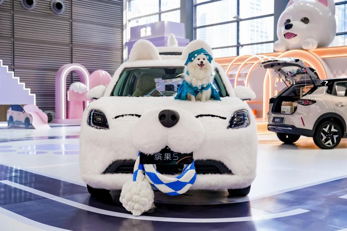 带宠出行不折腾！缤果S这些设计太懂养宠人
作为养了两只柯基的车主，以前带狗出门总