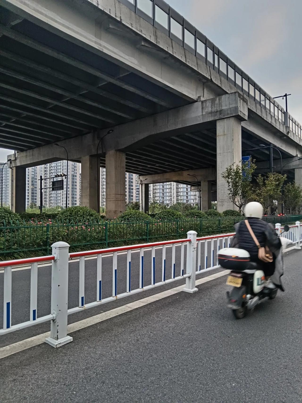 骑行寒思
 
立冬已过，寒意渐浓。我骑着自行车缓缓前行，道路两旁的草木依旧留存着
