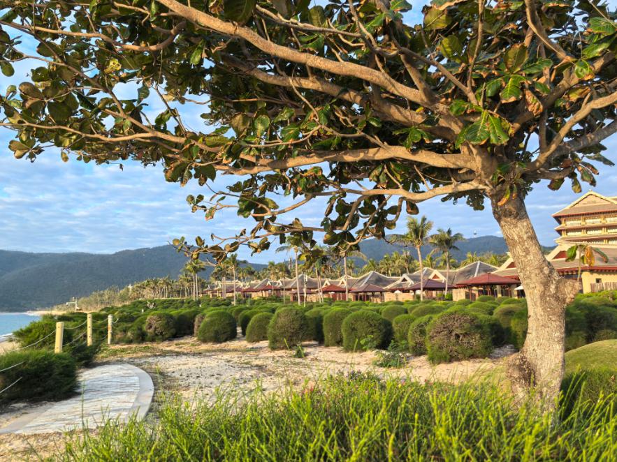 委内瑞拉的遭遇，对于全世界来说，影响将会是深远的。大家对于美国的防备都会加深，不