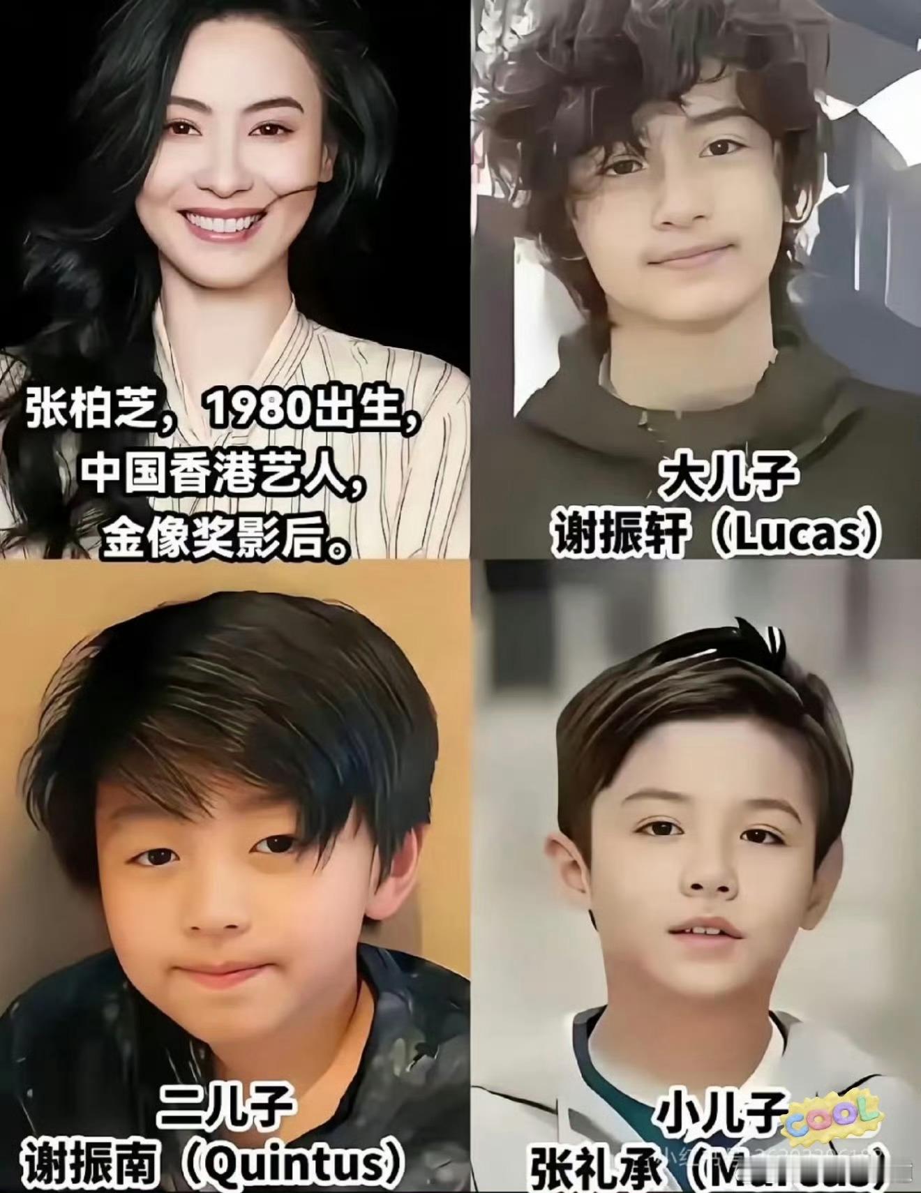 张柏芝26岁事业巅峰期选择结婚张柏芝有3个儿子张柏芝 我要生到不能生为止