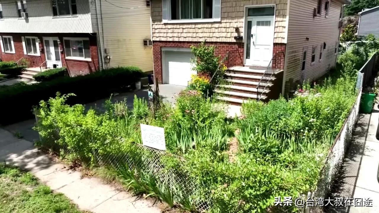 纽约华人种花园被罚2000刀，只因“太丑”？四次申诉后和解，环保还是审美惹的祸？