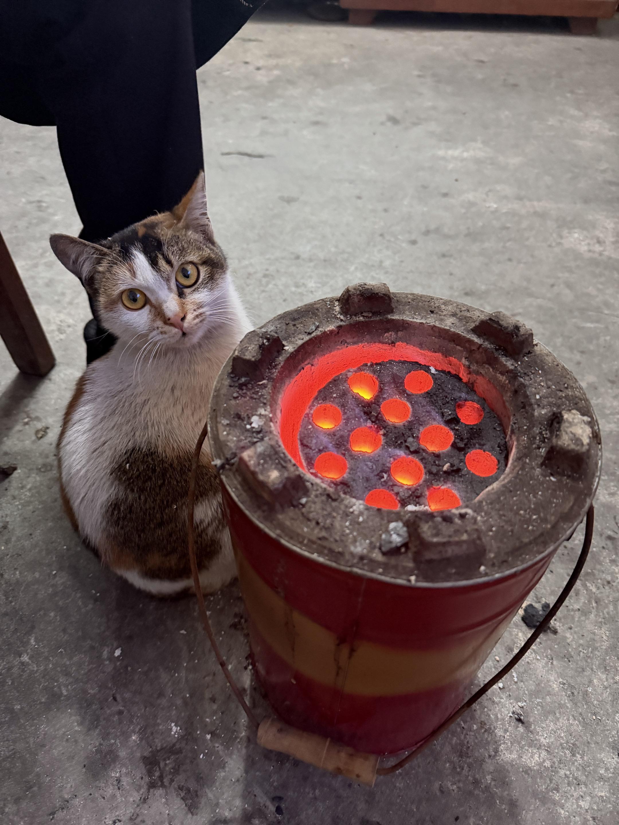 人心向来相互，温柔要留给懂珍惜的人