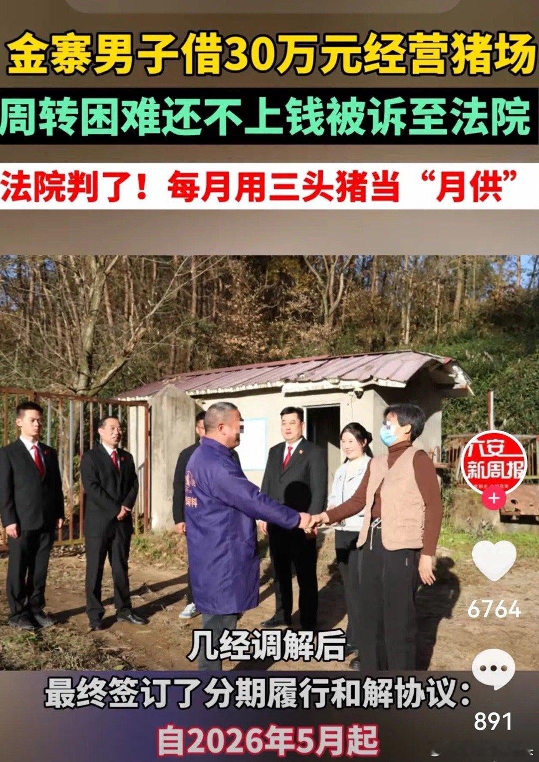 安徽六安，男子借30万养猪，不料周转困难还不上钱，被债主起诉到法院，申请强制执行