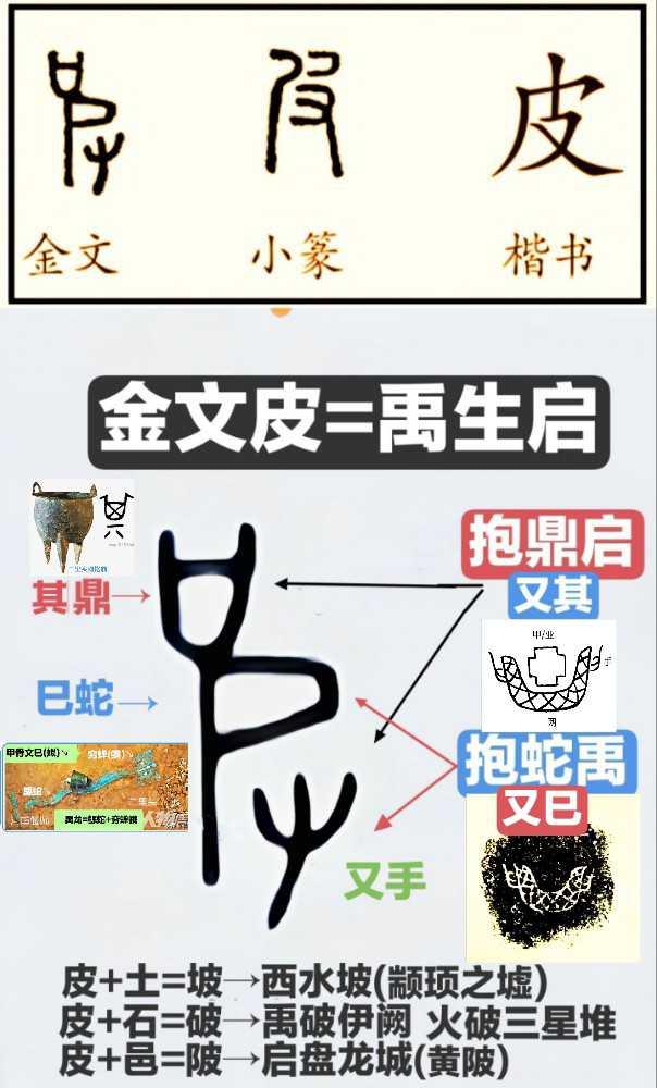 皮氏，是大禹王族夏启后裔[作揖]