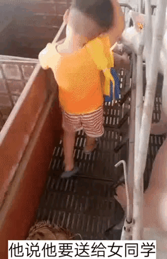 看到了吧，那些没对象的，还没有小朋友会哄女孩子开心呢[机智]