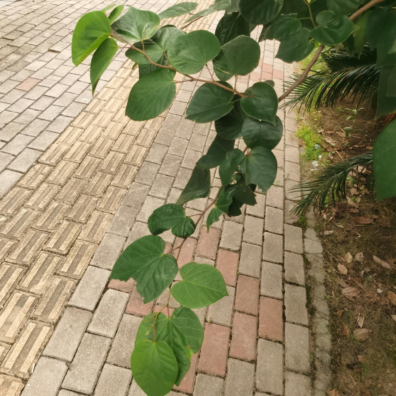 看台风走向，其中心已过离舟山最近的直线距离点。

今天是七月十二号，浙江舟山的台