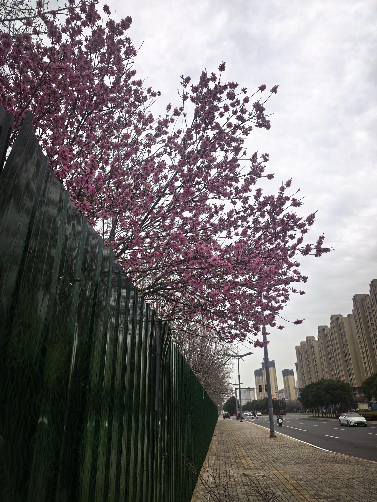 初三中等偏上，偏科严重的考生，走一条赛道特别适合你
昨天认识一位洛阳某中专学生，