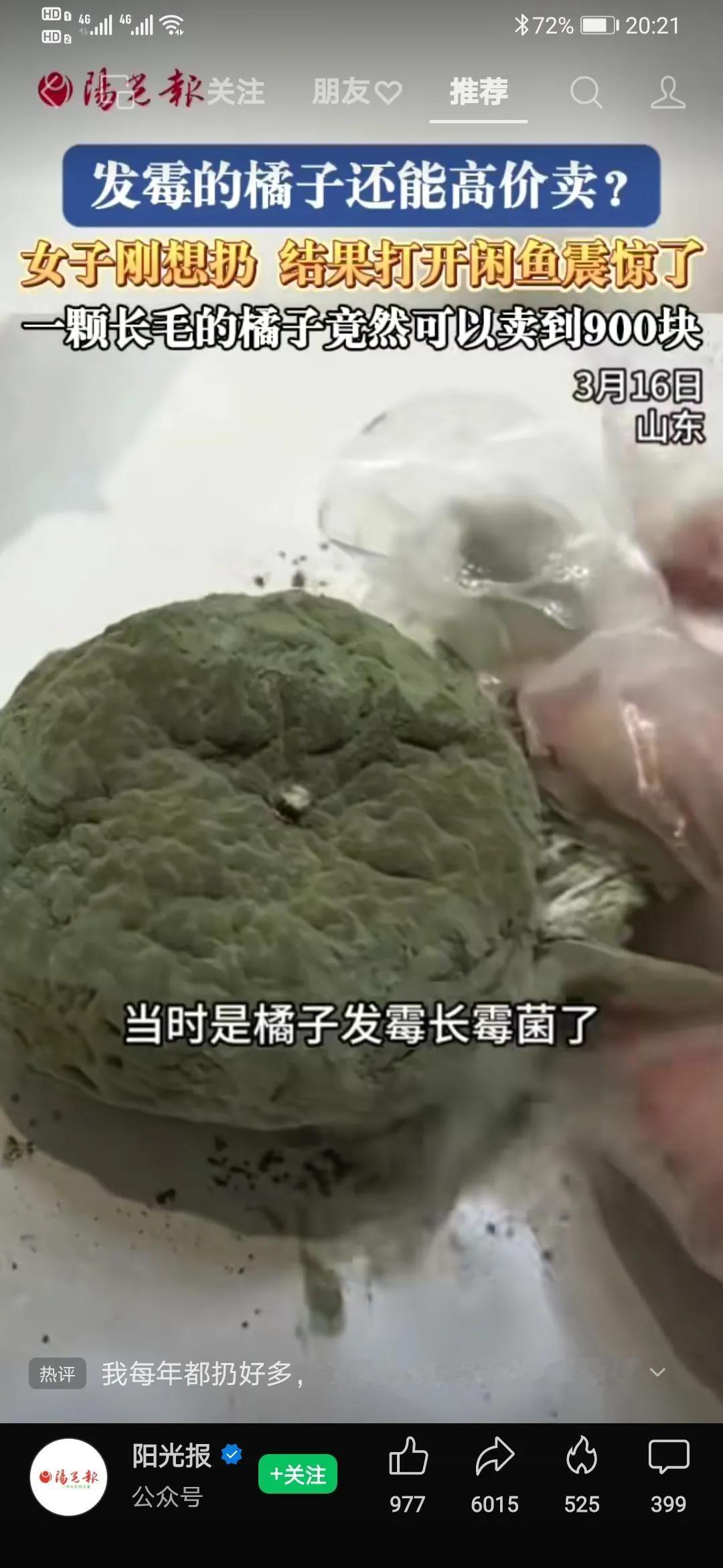 橘子🍊发霉能卖？
那我的香菇发霉扔掉了算什么？！