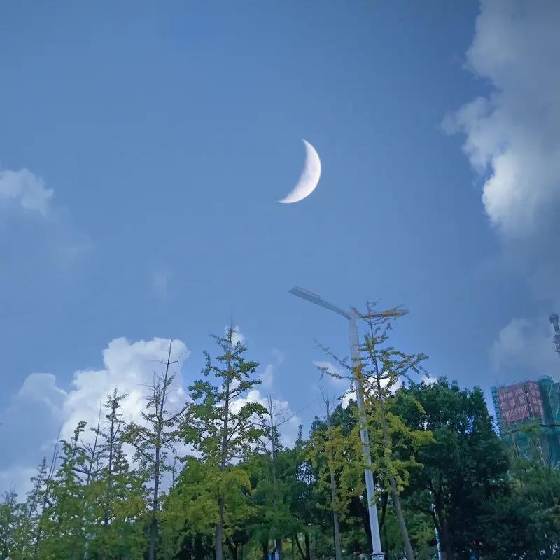 微小说‖《梦境逃亡》
阿明从噩梦中猛然惊醒，冷汗浸湿了睡衣。梦里，一只巨大的怪物