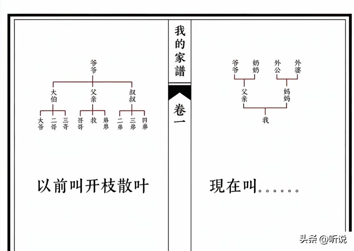 以前的家谱VS现在的家谱，计划生育多少年，现在想开枝散叶了…