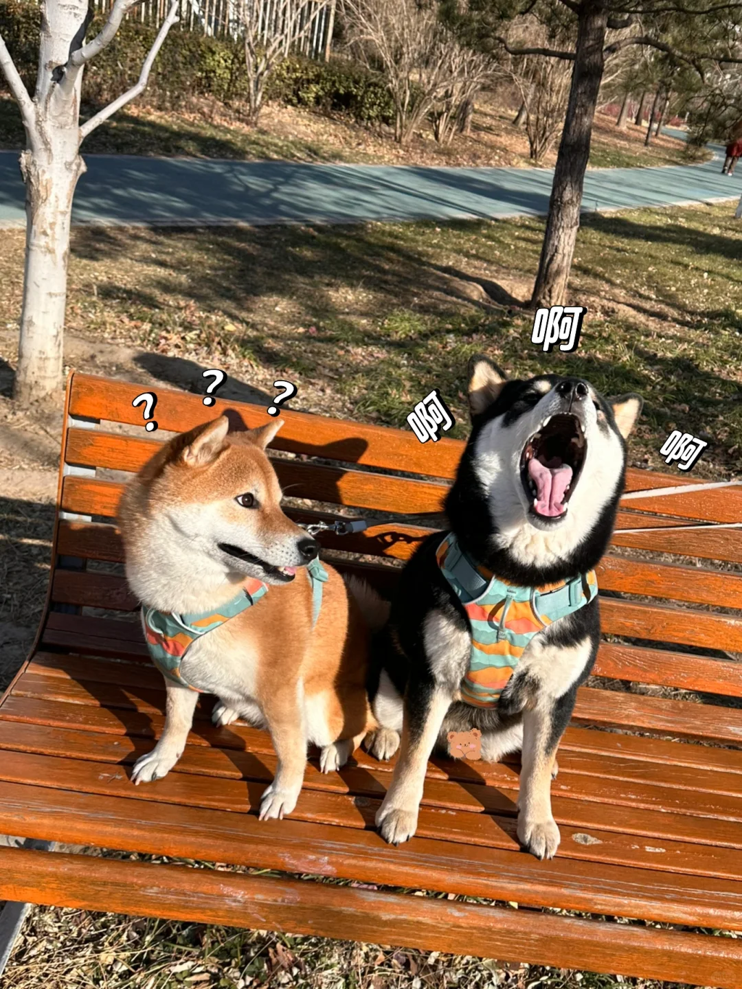 姐弟俩互相嫌弃