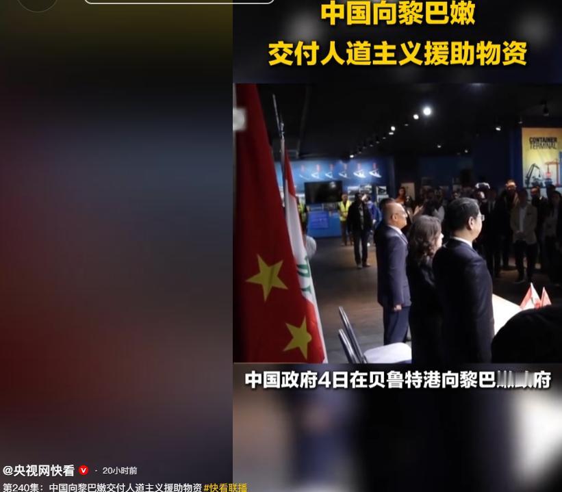 中国政府4号在贝鲁特港向黎巴嫩政府交付两批人道主义援助物资，这些物资里有粮食，还