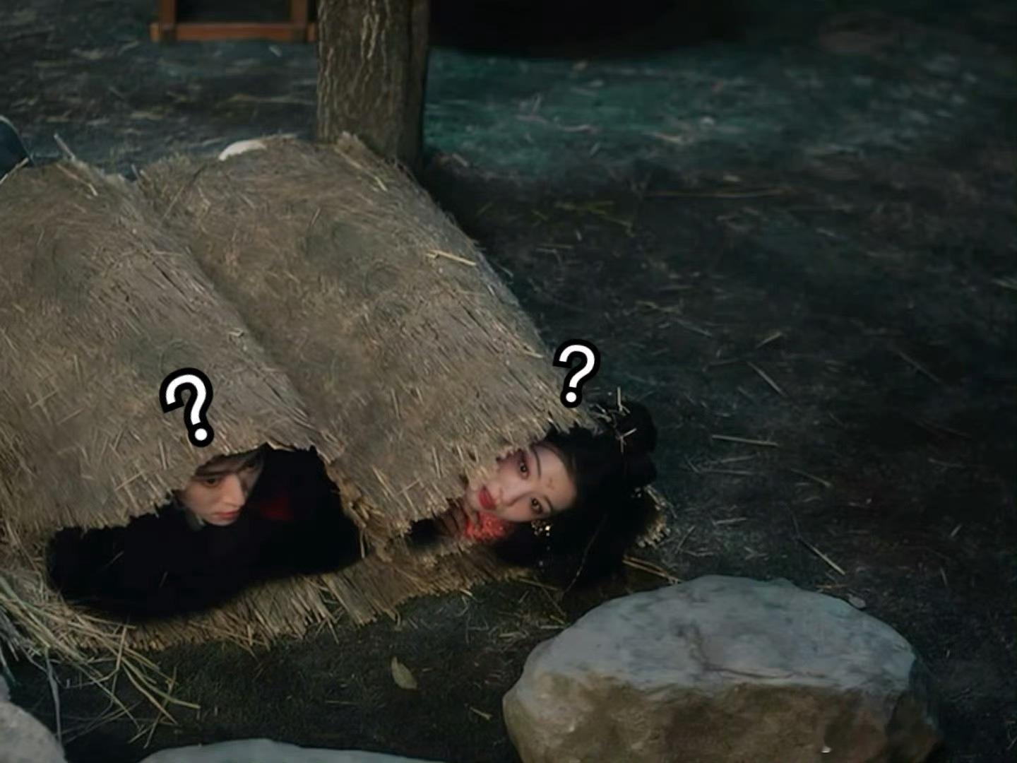 成何体统剧集成何体统开播 太可爱了这俩人 