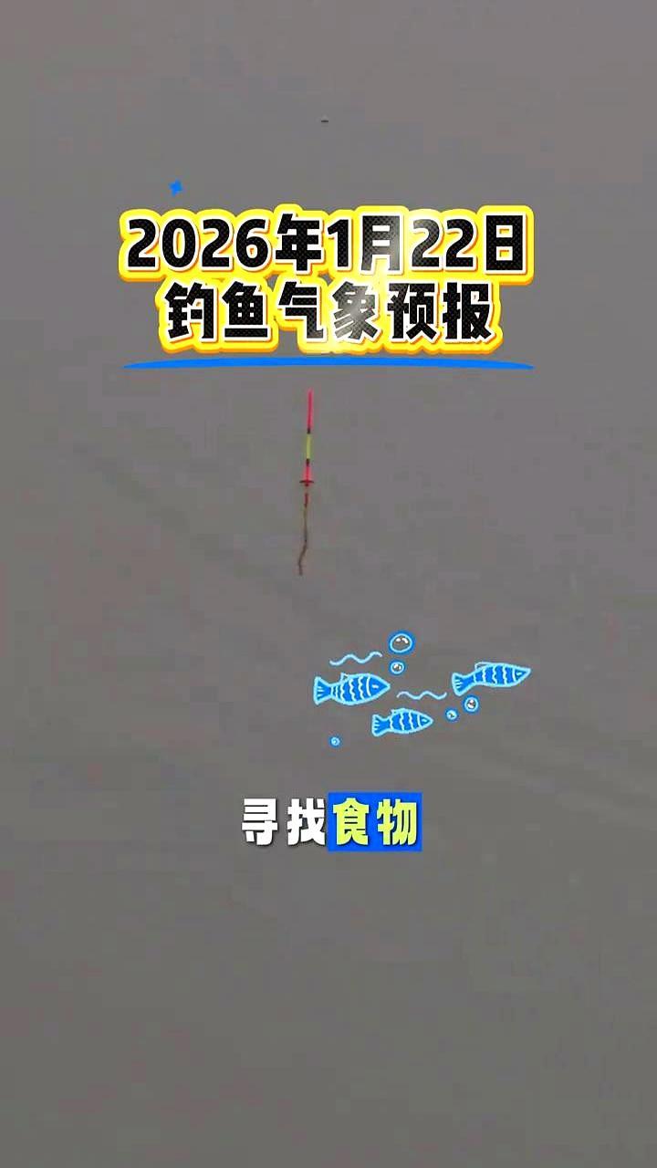 1037hPa，大板鲫连竿！
 
明天气压稳住1037，鲫鱼先动了。冷尾回暖第一