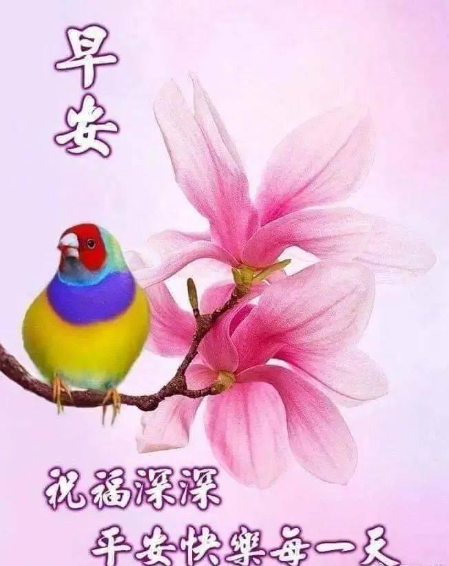 让清晨的旭日带给你幸运，
让飞扬的柳枝带给你激情，
让蔚蓝的天空带给你梦想，
让