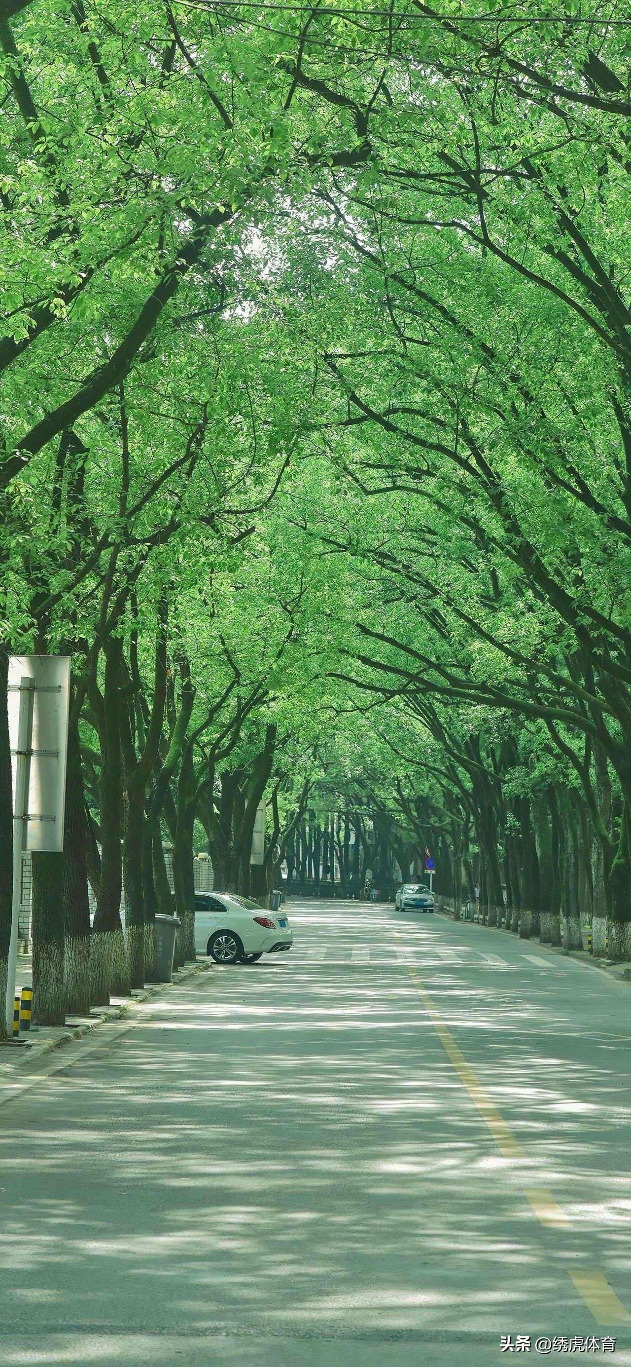 今晚19:35分吉林东北虎迎战北京北汽这场比赛，恐怕又会复制上一场对阵浙江稠州、