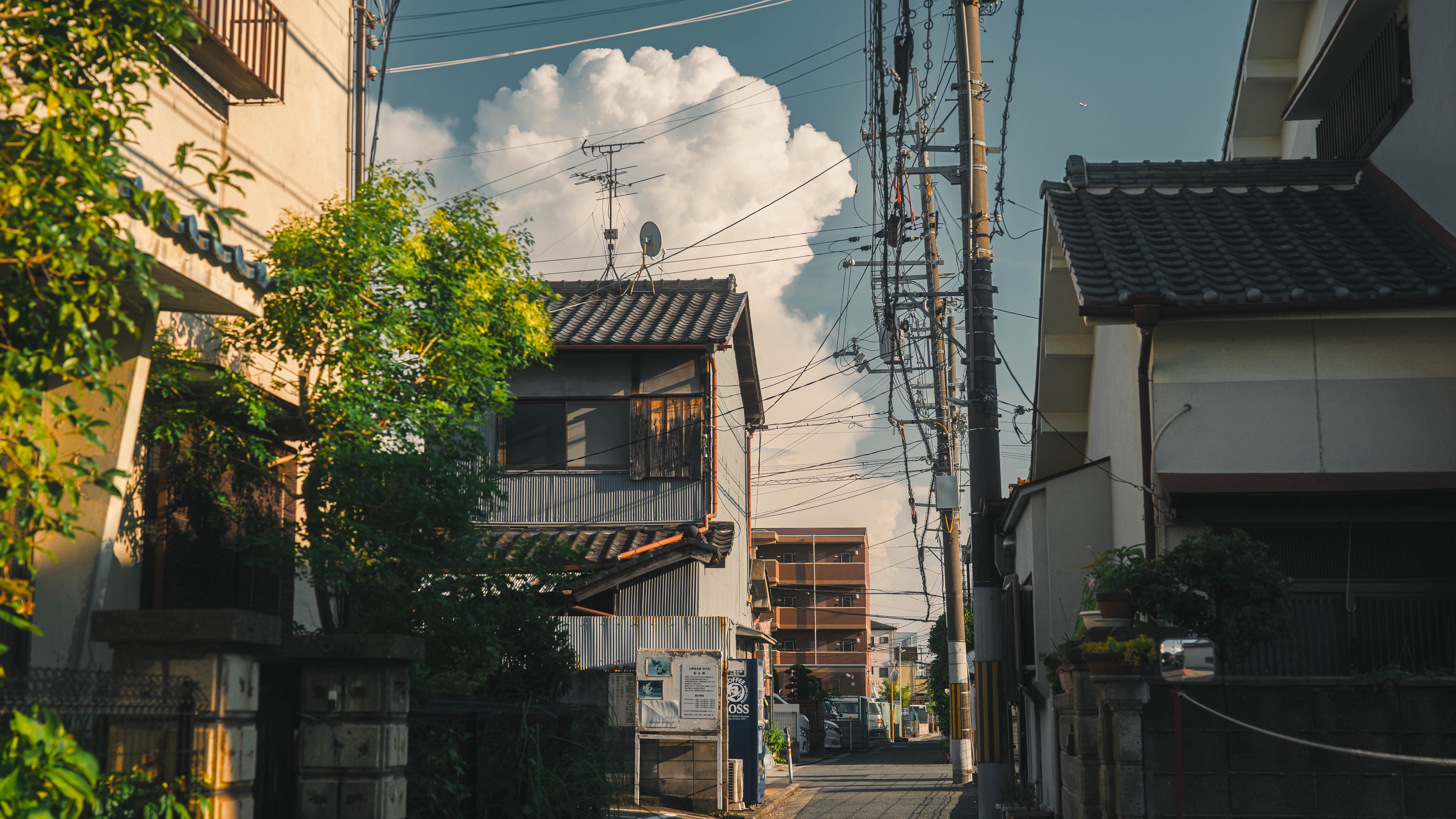 行走在夏天的日本 ​​​