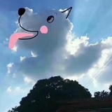 水发读读科技