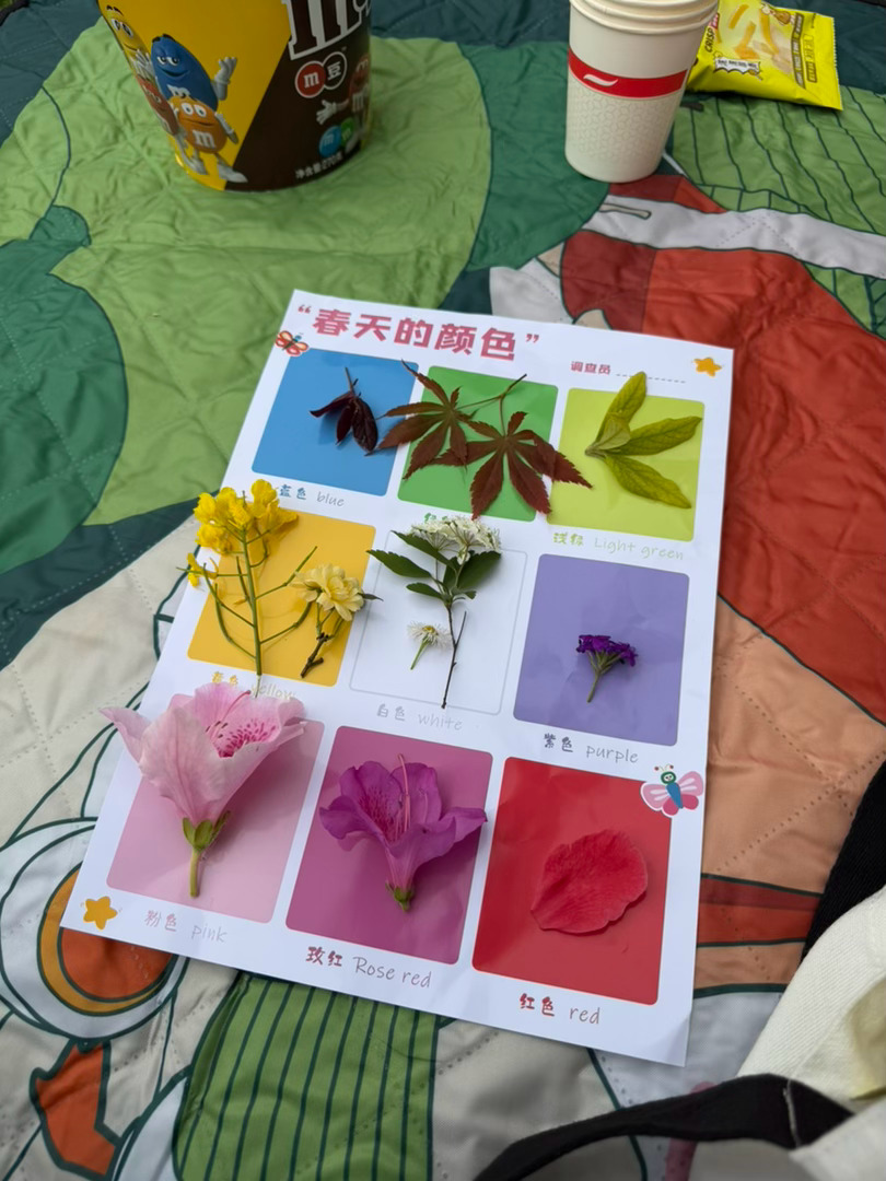 遛娃日记 带娃收集下春天的颜色 