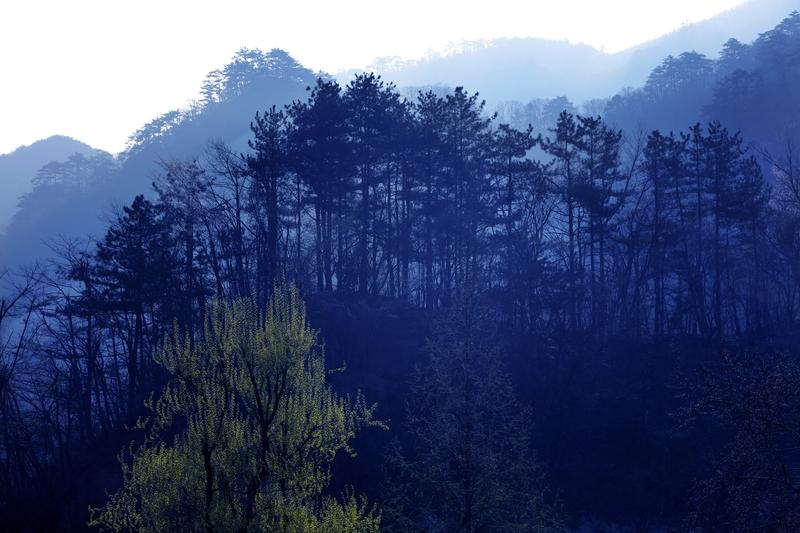 皖西大别山金寨的特色红与绿著称，是中国独一无二甚至是世界绝无仅有的风景！绿色以天