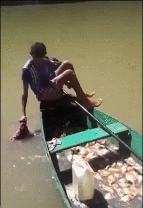 用肉钓食人鱼 ​​​