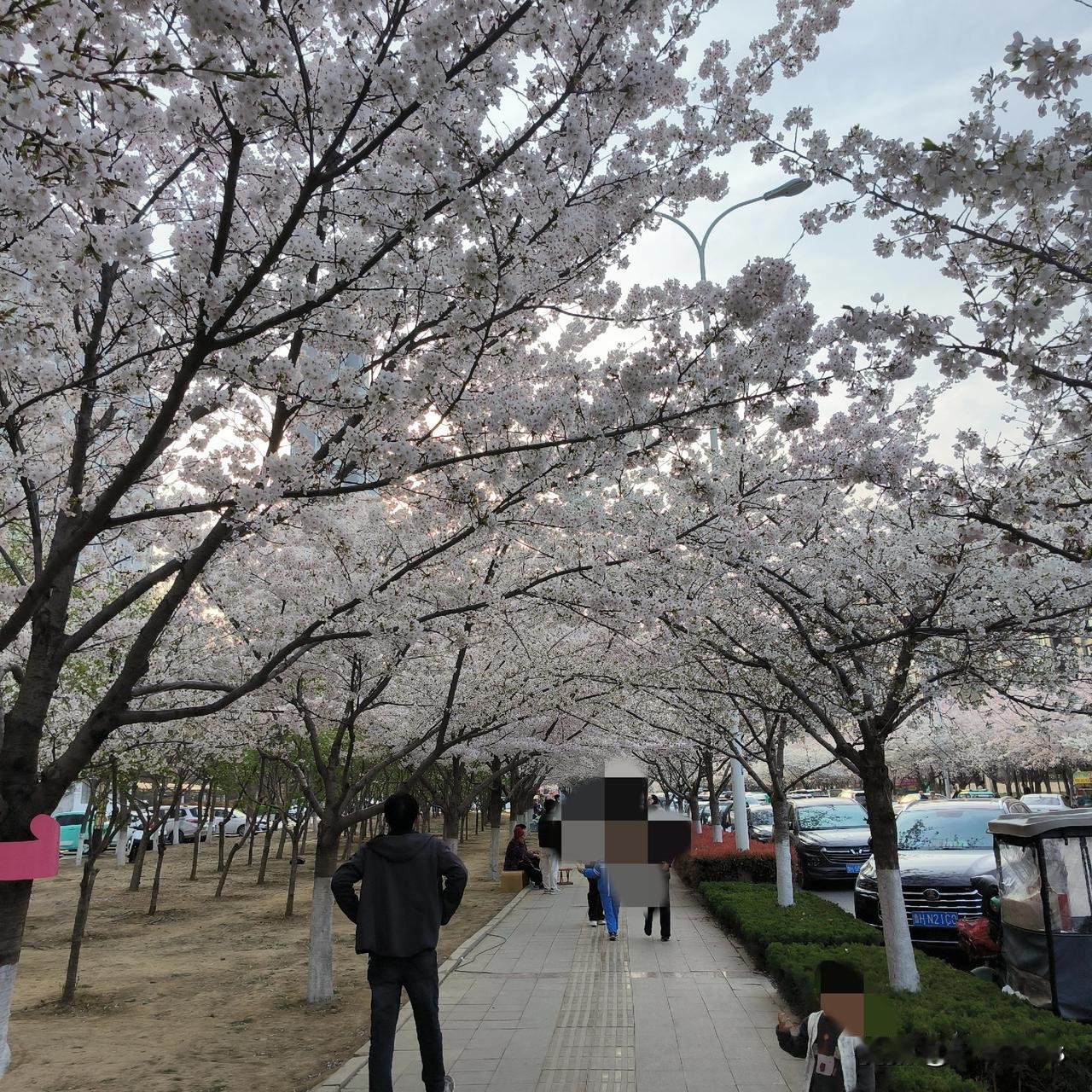 再婚丈夫一定找不到好的？

网上有个人跟我争辩，他认为二婚丈夫找不到好的，我不同