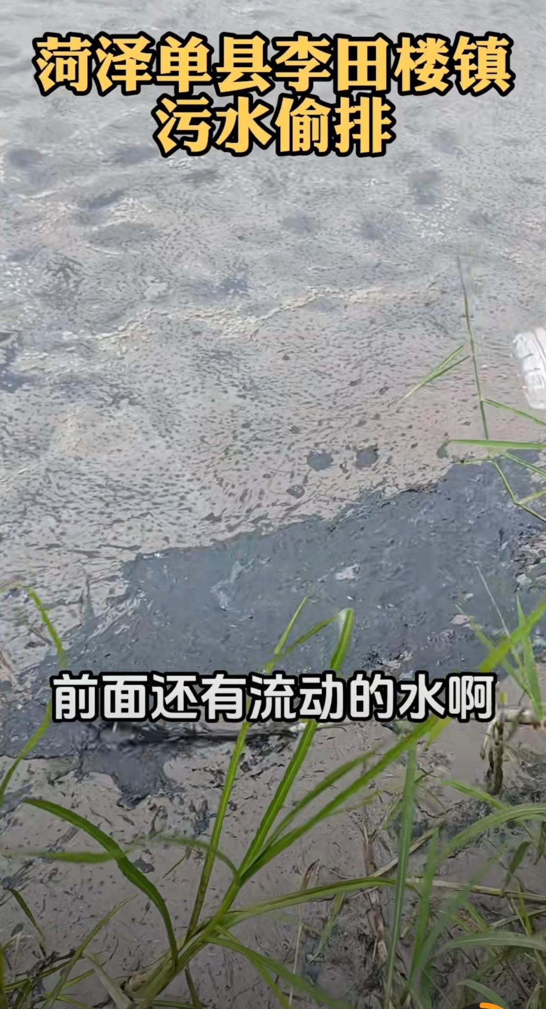 “菏泽单县的田地里，有一条水渠黑臭刺鼻，而就在水渠附近，还设有高标准农田”，这是