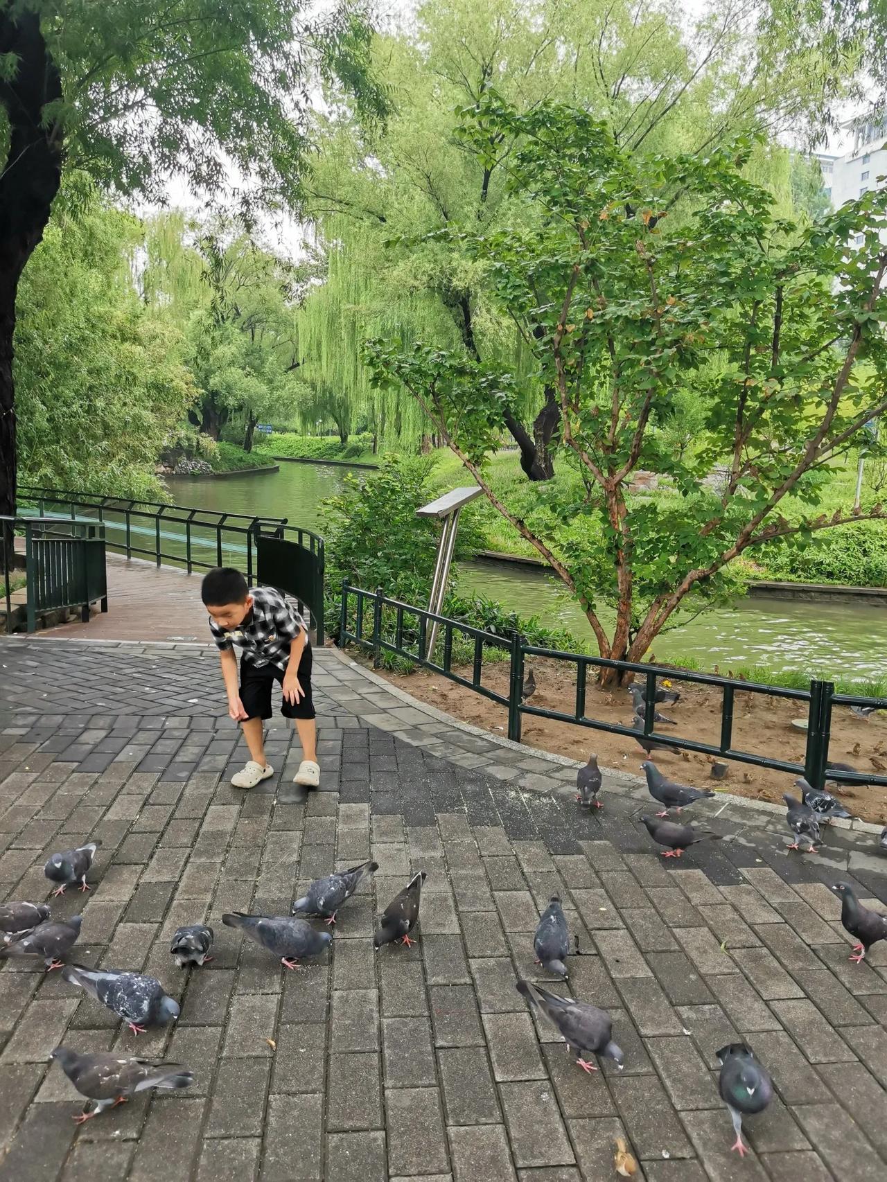 昨晚中国乒乓球队女队在瑞典比赛中杀进四强，今天半决赛、决赛是王曼昱、孙颖莎、陈熠