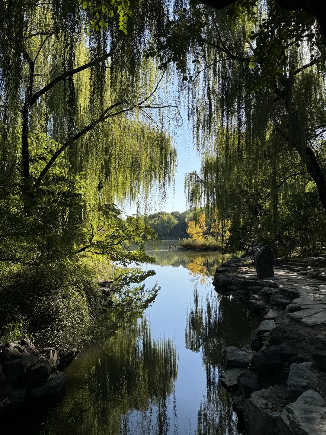 北大未名湖，燕园今年最后一抹秋色